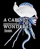 A cabinet of wonders