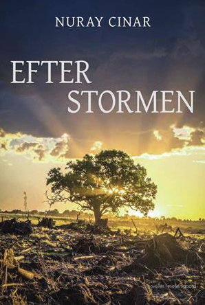 Efter stormen