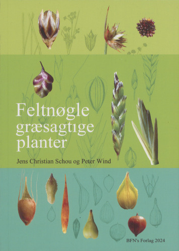 Feltnøgle til græsagtige planter