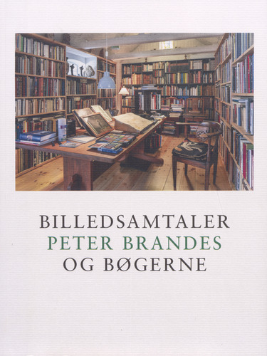 Billedsamtaler
