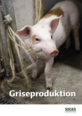 Griseproduktion