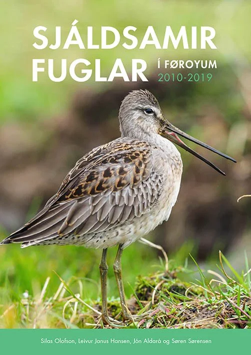 Sjáldsamir fuglar í Føroyum