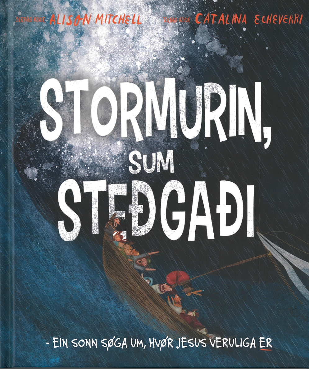 Stormurin, sum steðgaði